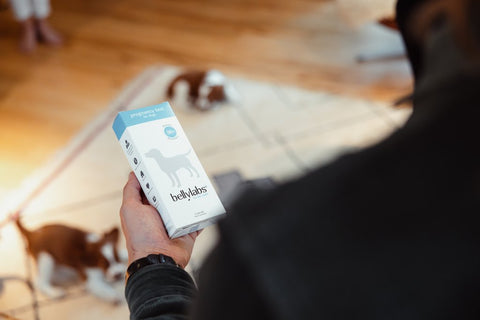 Canine Pregnancy Test: A Breakthrough in Early Pregnancy Detection