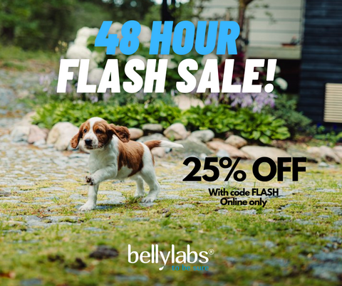 48 Hour Flash Sale Alert!