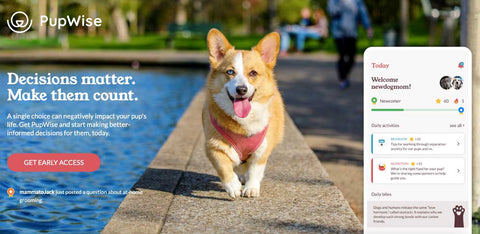 Bellylabs and PupWise Unite to Elevate Canine Wellness: A New Chapter in Dog Parenting