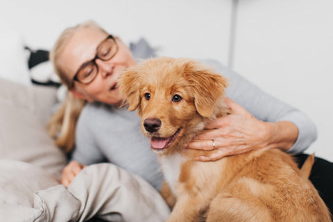 The Role of Progesterone in Dogs Reproduction: A Comprehensive Review