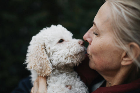 Celebrating International Day of Veterinary Medicine