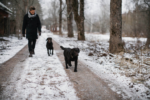 Bellylabs featured in Sifted (backed by Financial Times)!