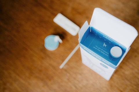 The Significance of Reverse Progesterone Testing in Dogs