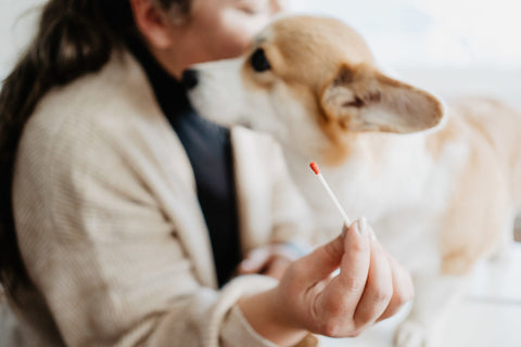 Bellylabs test sample