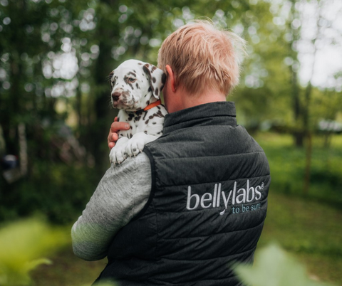 How to Prepare Your Dog for Whelping Puppies: A Simple Guide