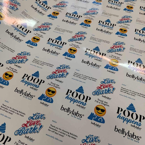 Get ready for a PAW-some Christmas with Bellylabs!