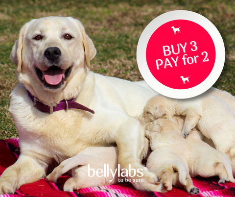 Unlock Love: Valentine's Day Special - Buy 3, Pay for 2 💖