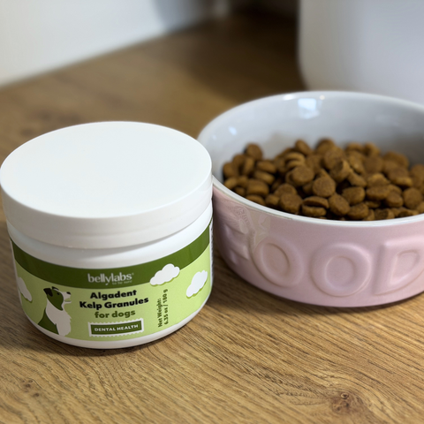 Bellylabs Algadent dental powder 6.35 oz for dogs